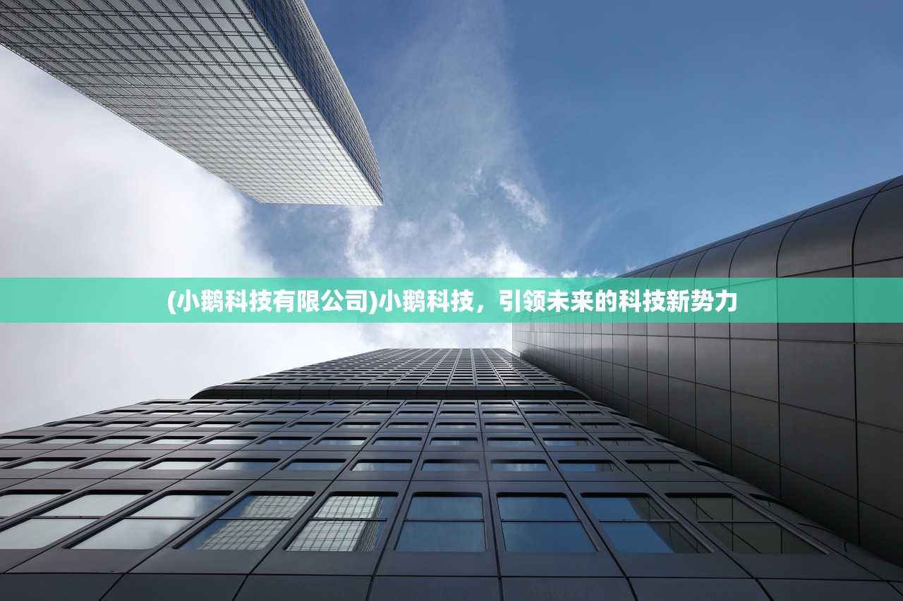 (小鹅科技有限公司)小鹅科技，引领未来的科技新势力