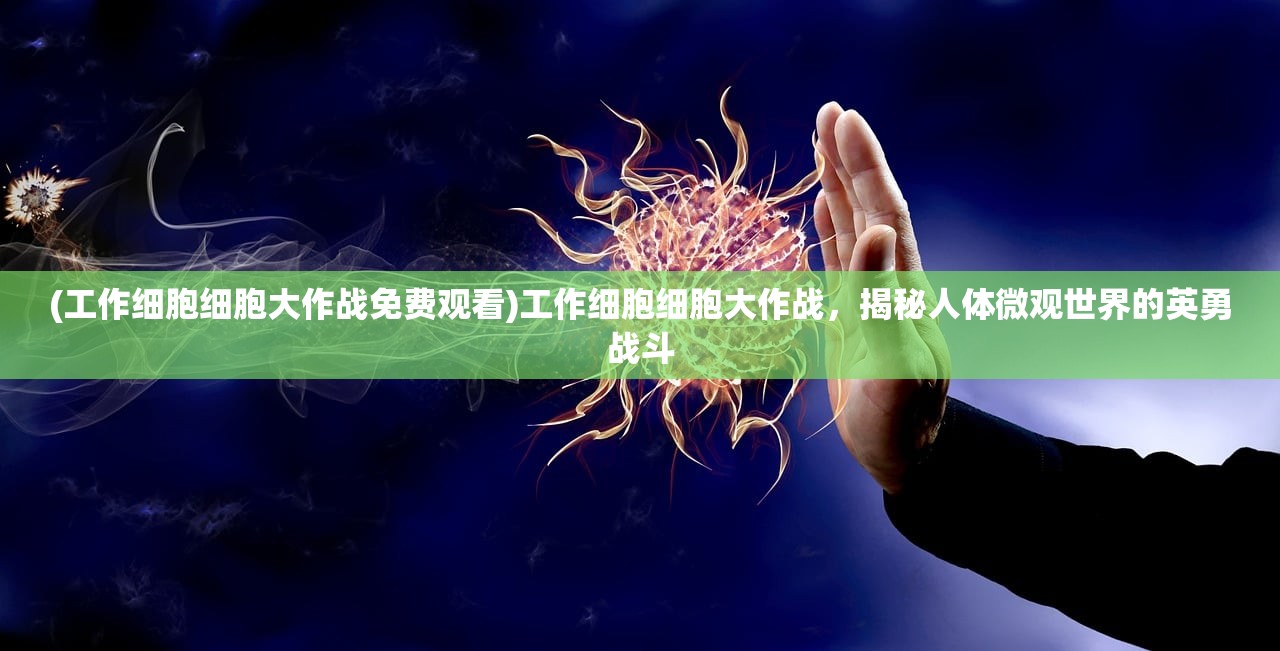 (仙灵奇缘为什么关服了呢)仙灵奇缘为何关服，深度探究其背后原因