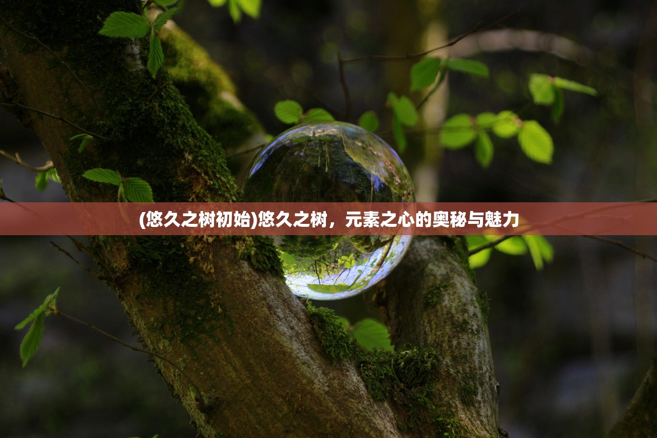 (悠久之树初始)悠久之树，元素之心的奥秘与魅力