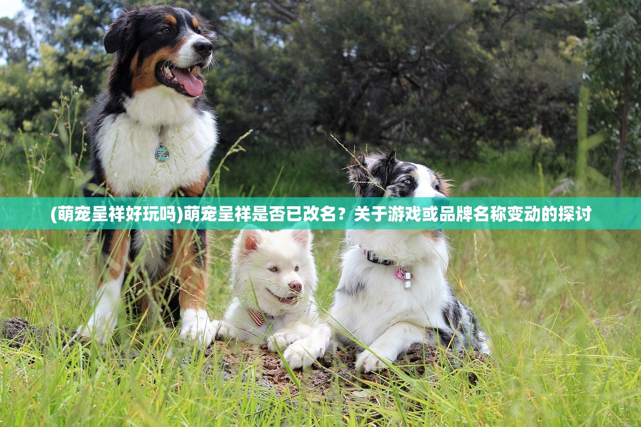 (萌宠呈祥好玩吗)萌宠呈祥是否已改名？关于游戏或品牌名称变动的探讨