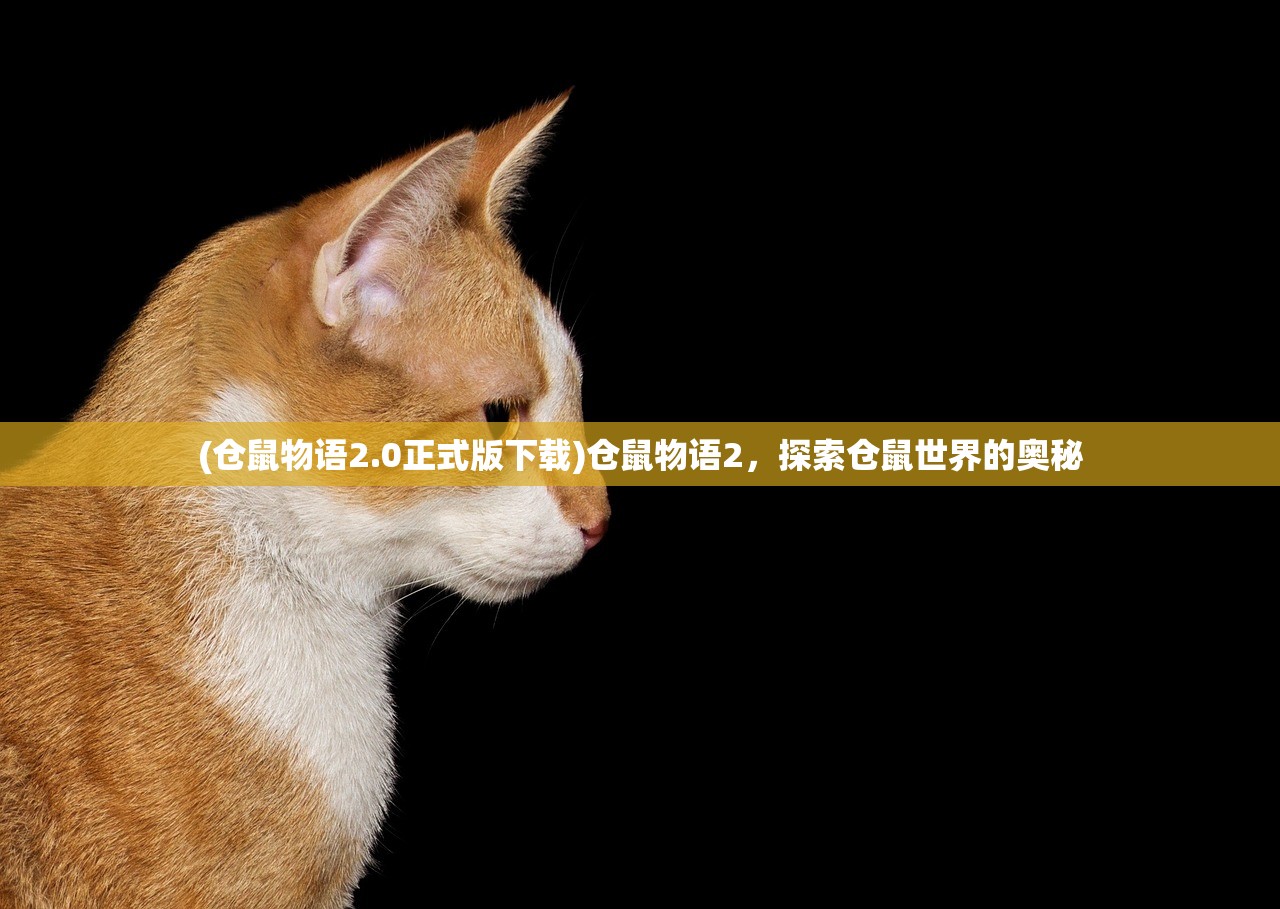 (仓鼠物语2.0正式版下载)仓鼠物语2，探索仓鼠世界的奥秘