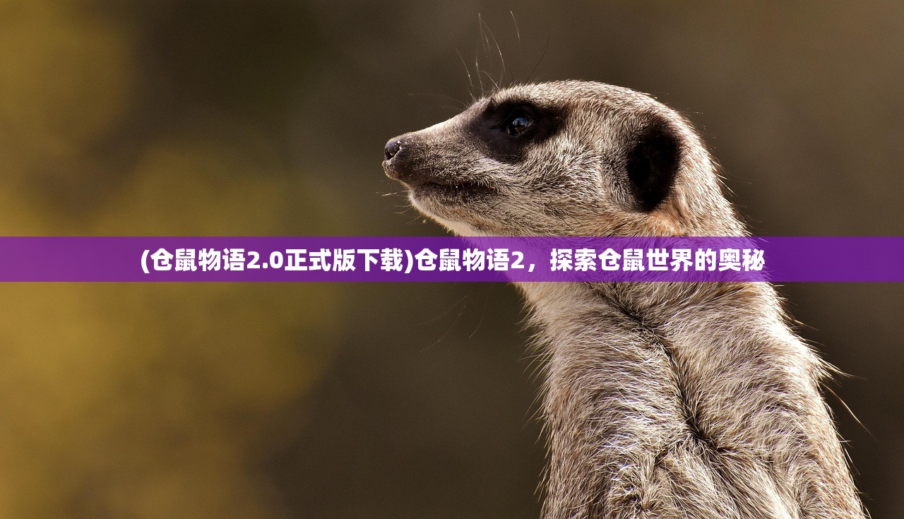 (仓鼠物语2.0正式版下载)仓鼠物语2，探索仓鼠世界的奥秘