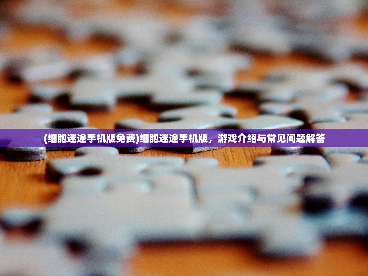 (细胞迷途手机版免费)细胞迷途手机版，游戏介绍与常见问题解答
