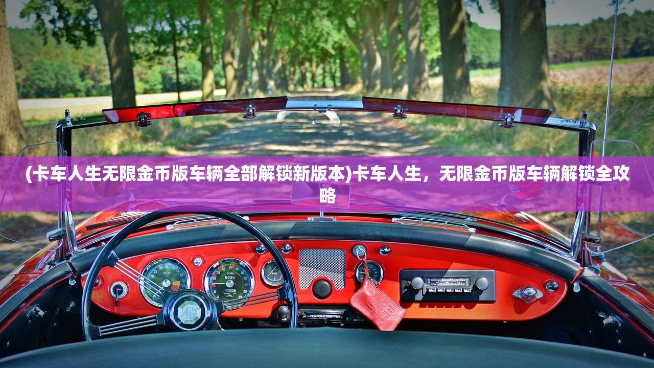 (卡车人生无限金币版车辆全部解锁新版本)卡车人生，无限金币版车辆解锁全攻略