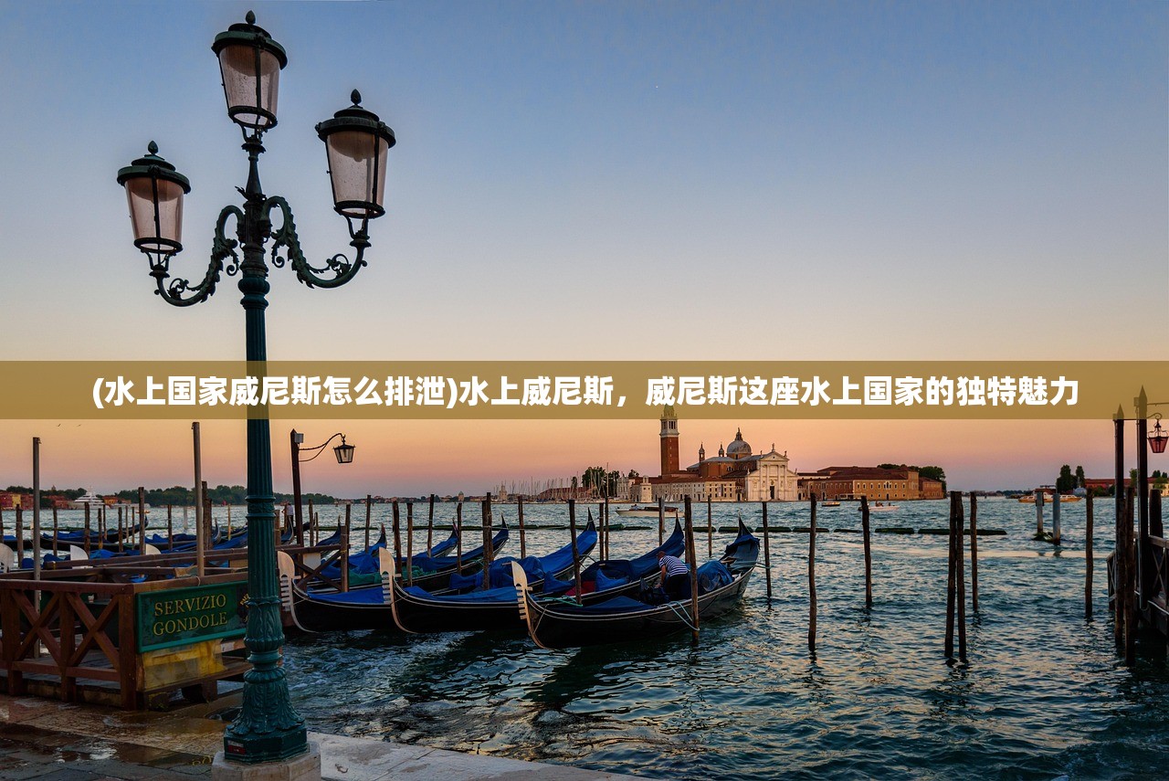 (水上国家威尼斯怎么排泄)水上威尼斯，威尼斯这座水上国家的独特魅力