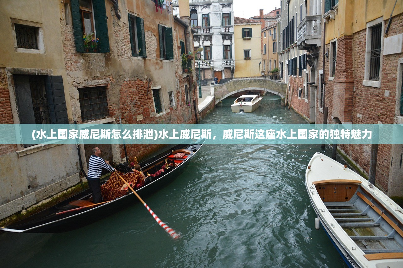 (水上国家威尼斯怎么排泄)水上威尼斯，威尼斯这座水上国家的独特魅力