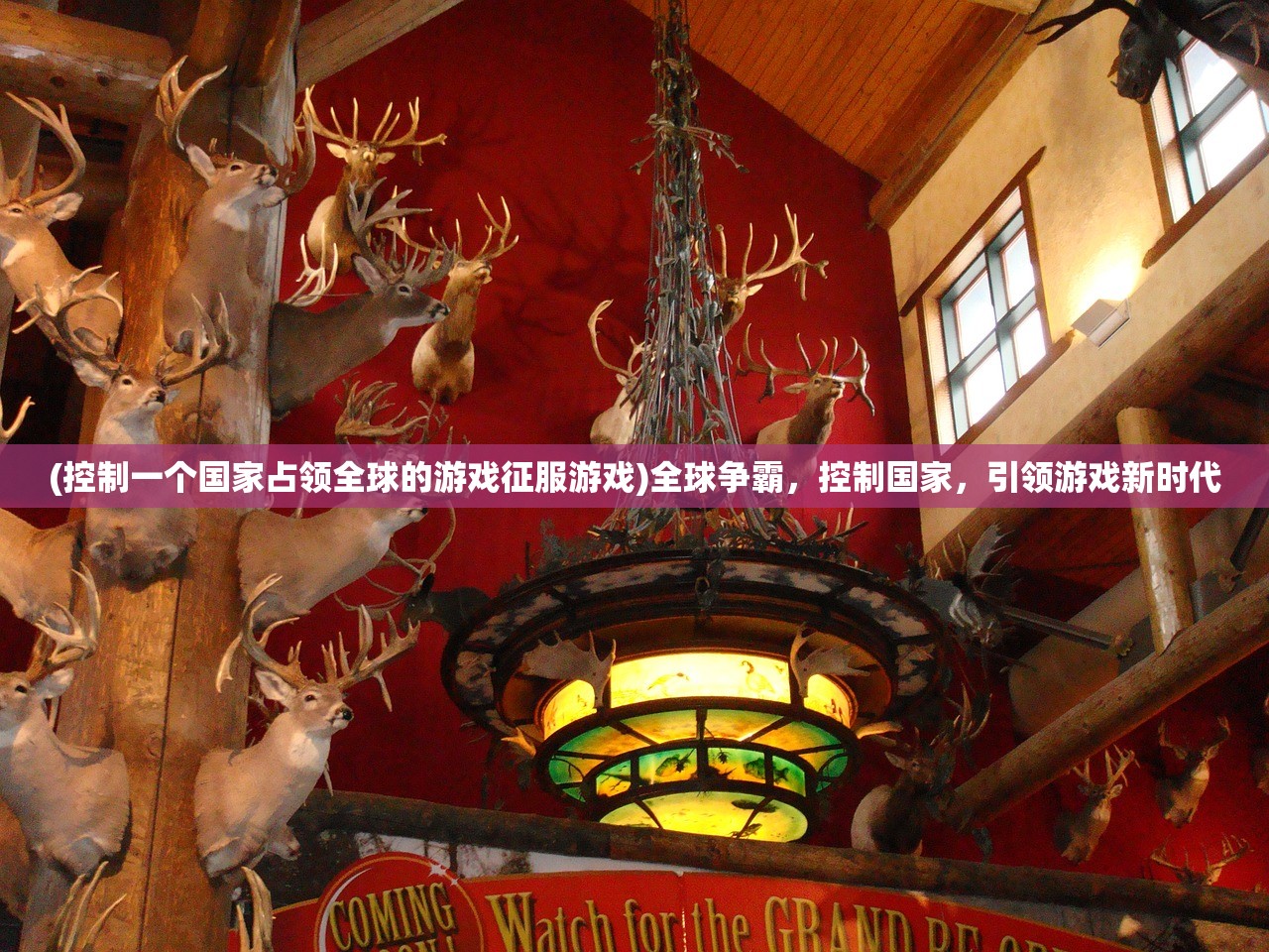 (控制一个国家占领全球的游戏征服游戏)全球争霸，控制国家，引领游戏新时代