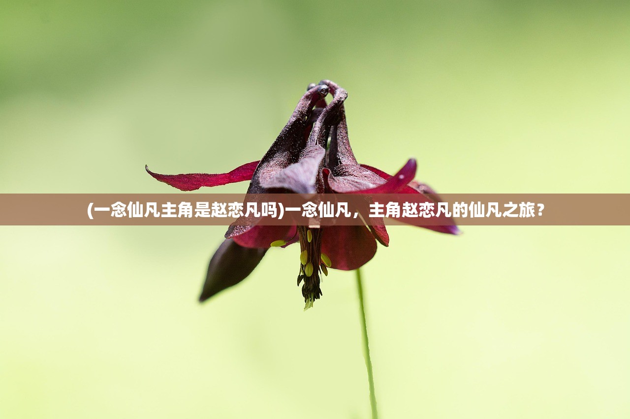 (一念仙凡主角是赵恋凡吗)一念仙凡，主角赵恋凡的仙凡之旅？