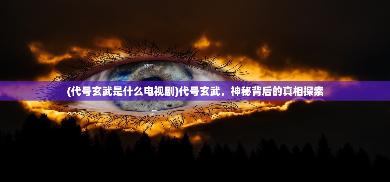 (代号玄武是什么电视剧)代号玄武，神秘背后的真相探索