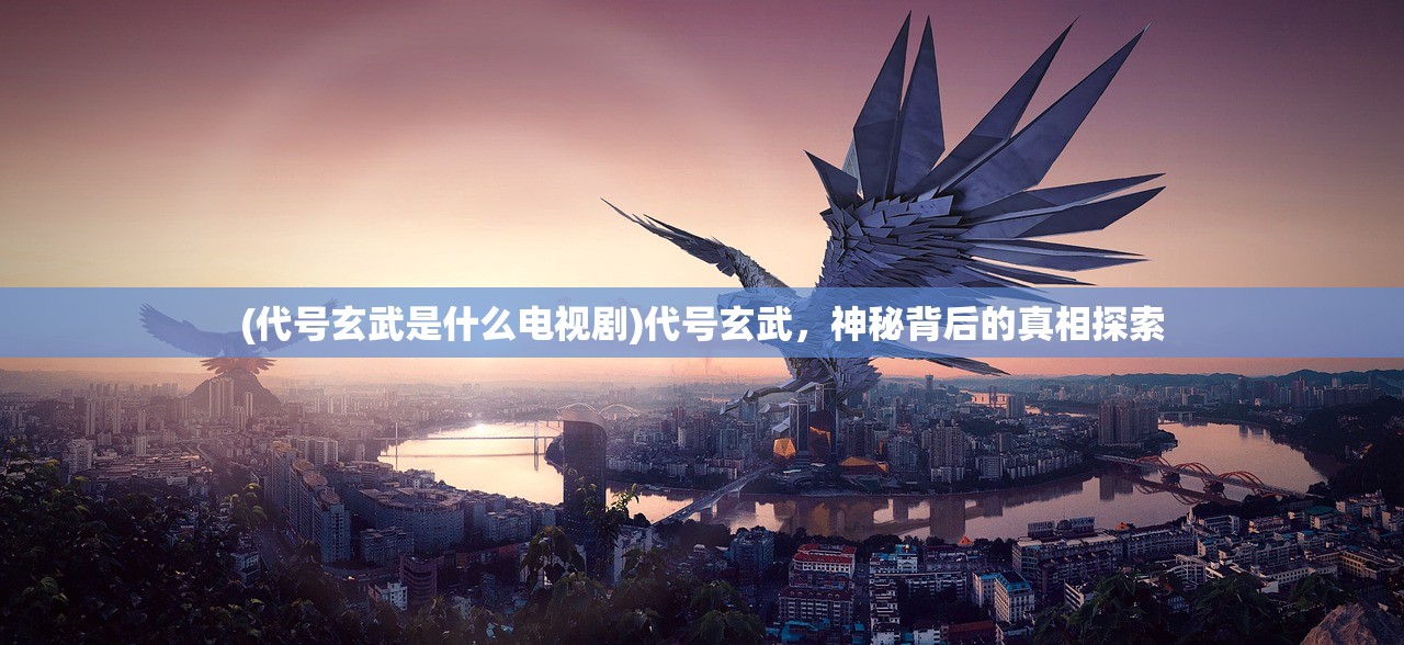 (代号玄武是什么电视剧)代号玄武，神秘背后的真相探索