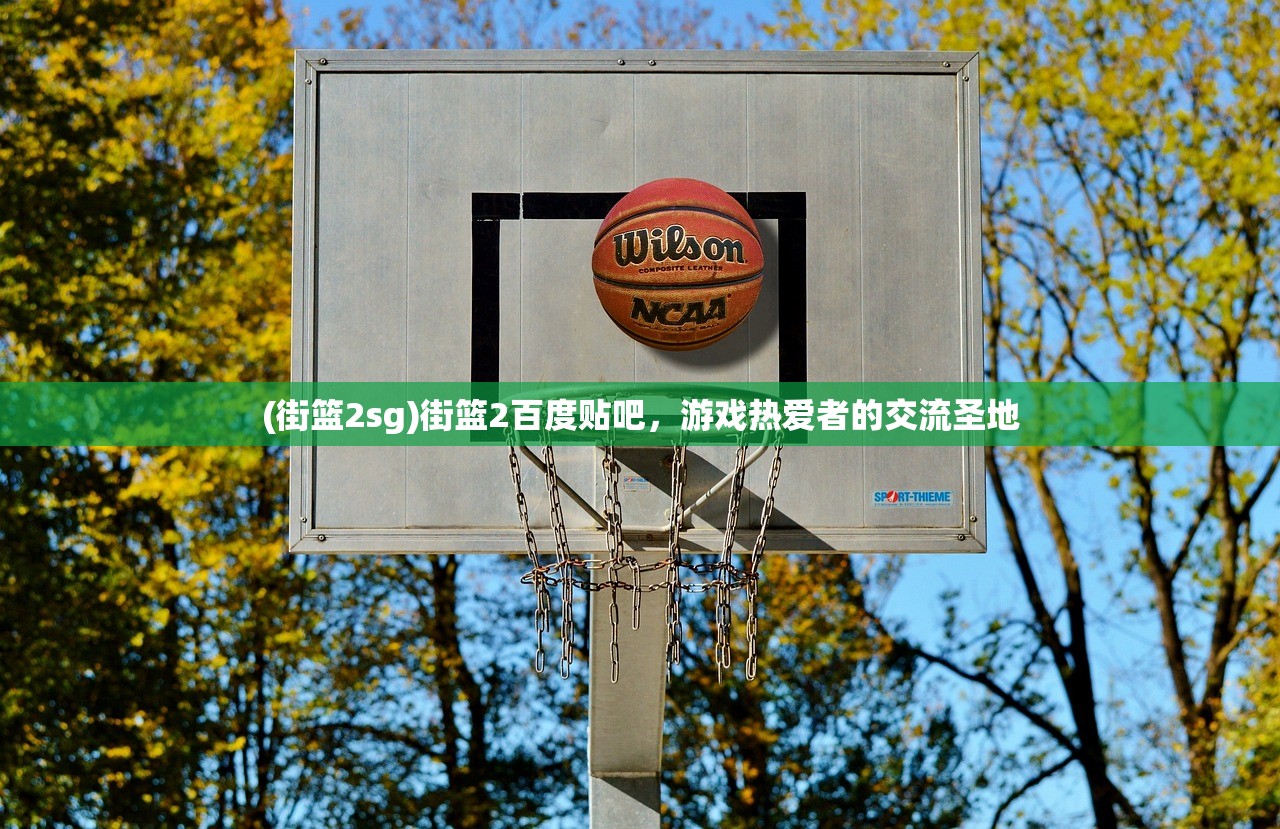 (街篮2sg)街篮2百度贴吧，游戏热爱者的交流圣地