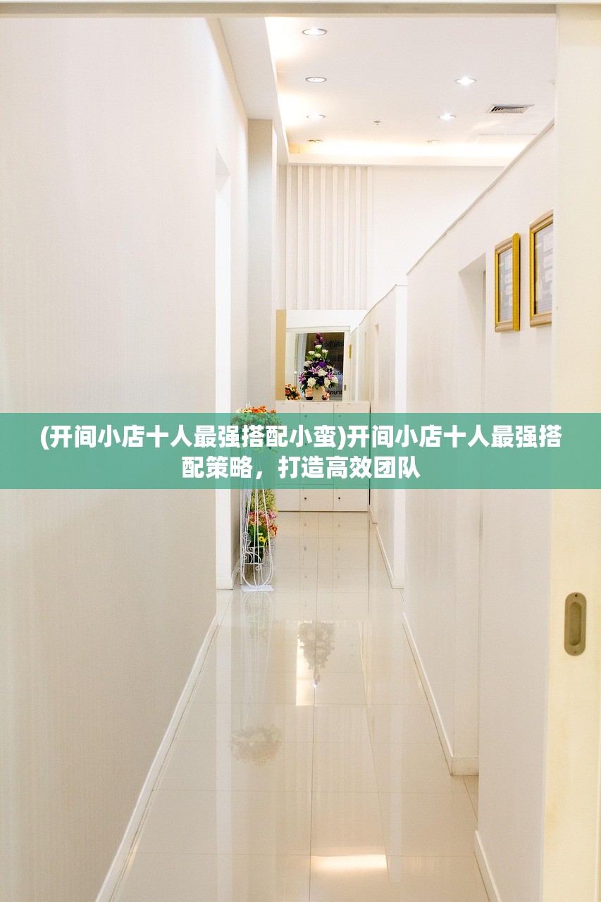 (开间小店十人最强搭配小蛮)开间小店十人最强搭配策略，打造高效团队