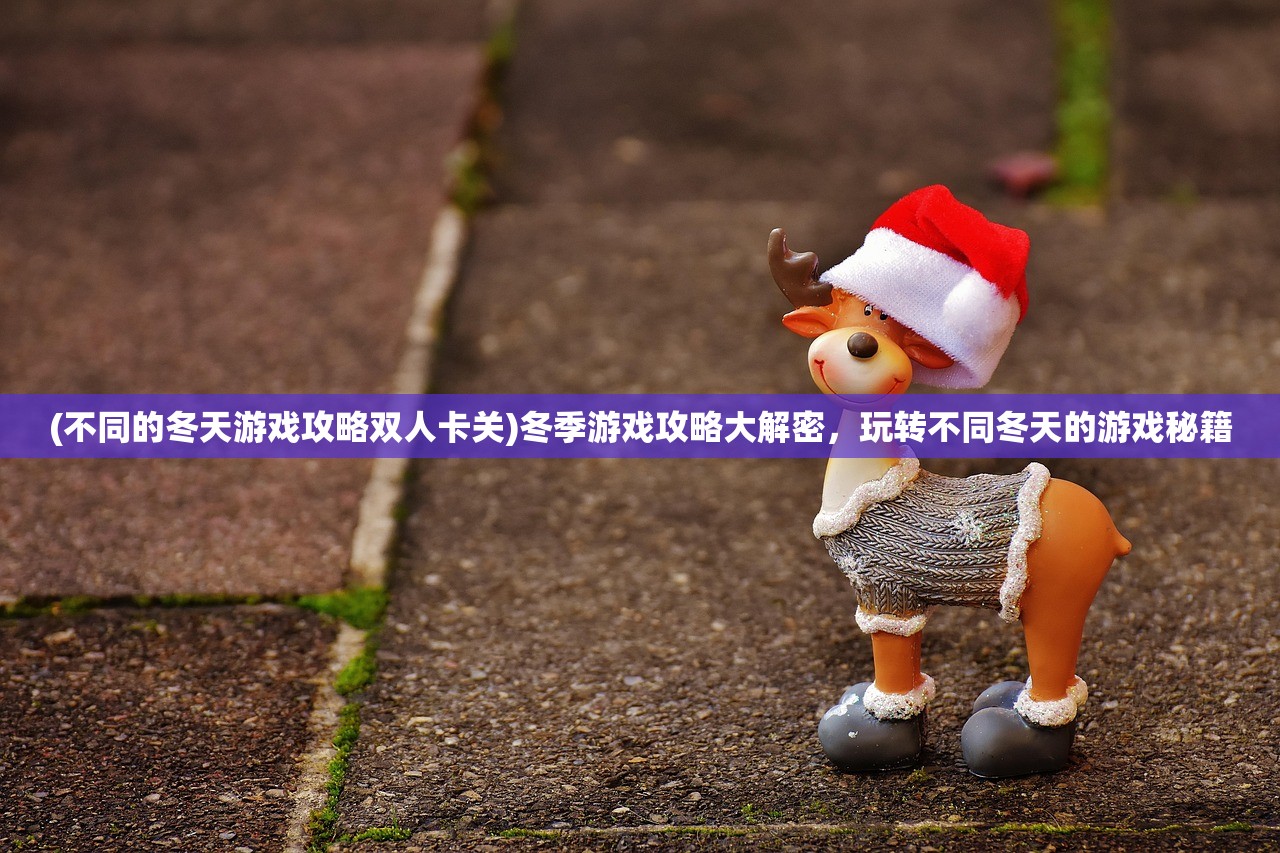 (不同的冬天游戏攻略双人卡关)冬季游戏攻略大解密，玩转不同冬天的游戏秘籍