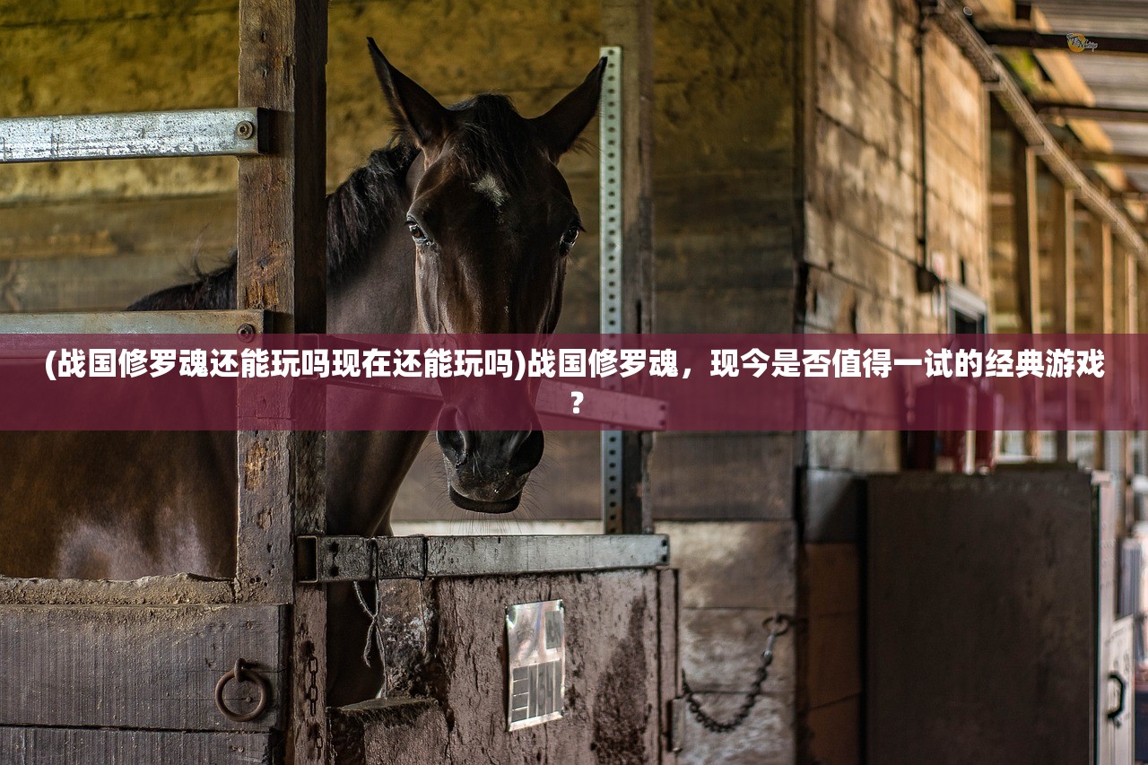 (战国修罗魂还能玩吗现在还能玩吗)战国修罗魂，现今是否值得一试的经典游戏？