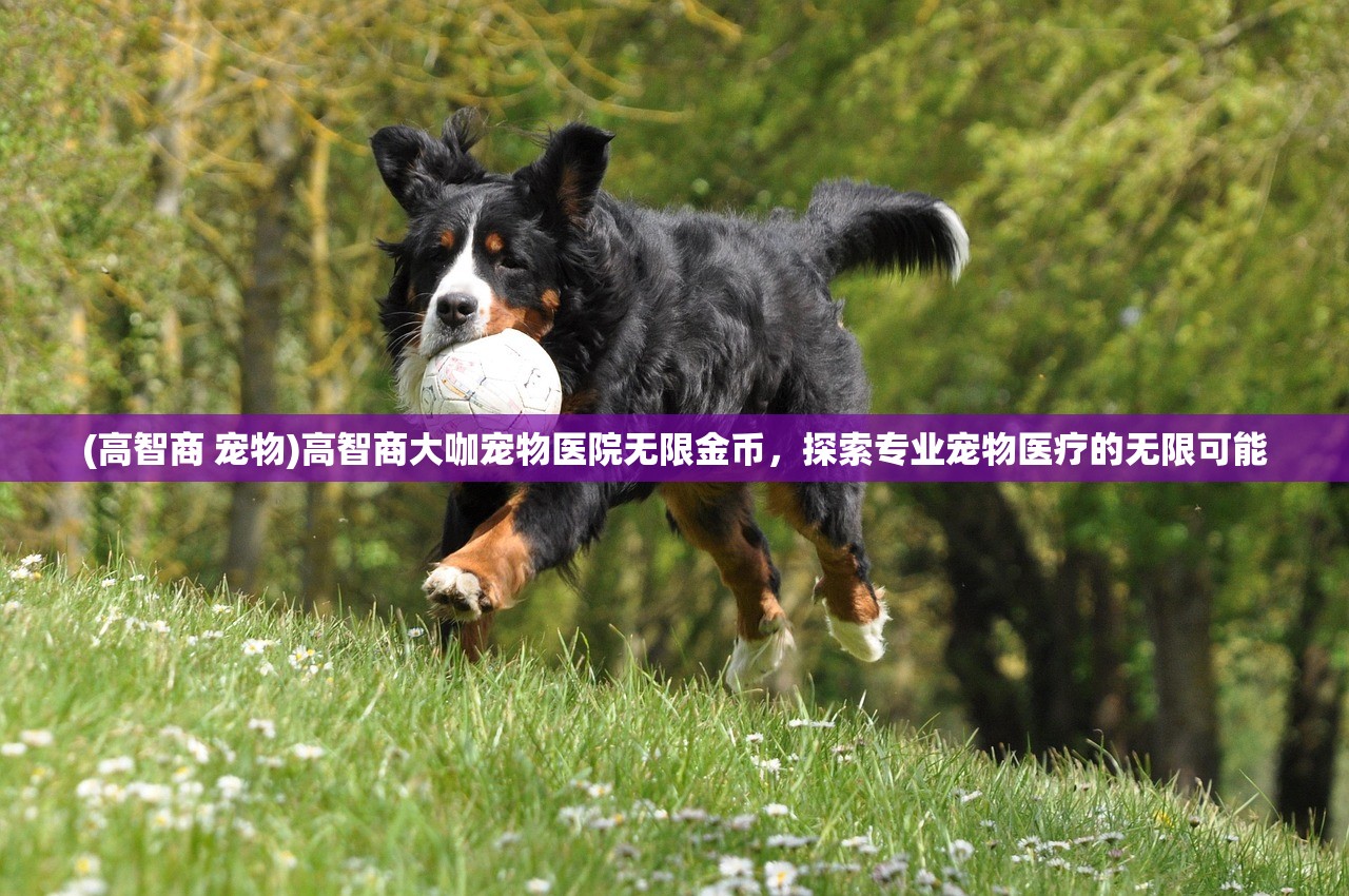 (高智商 宠物)高智商大咖宠物医院无限金币，探索专业宠物医疗的无限可能