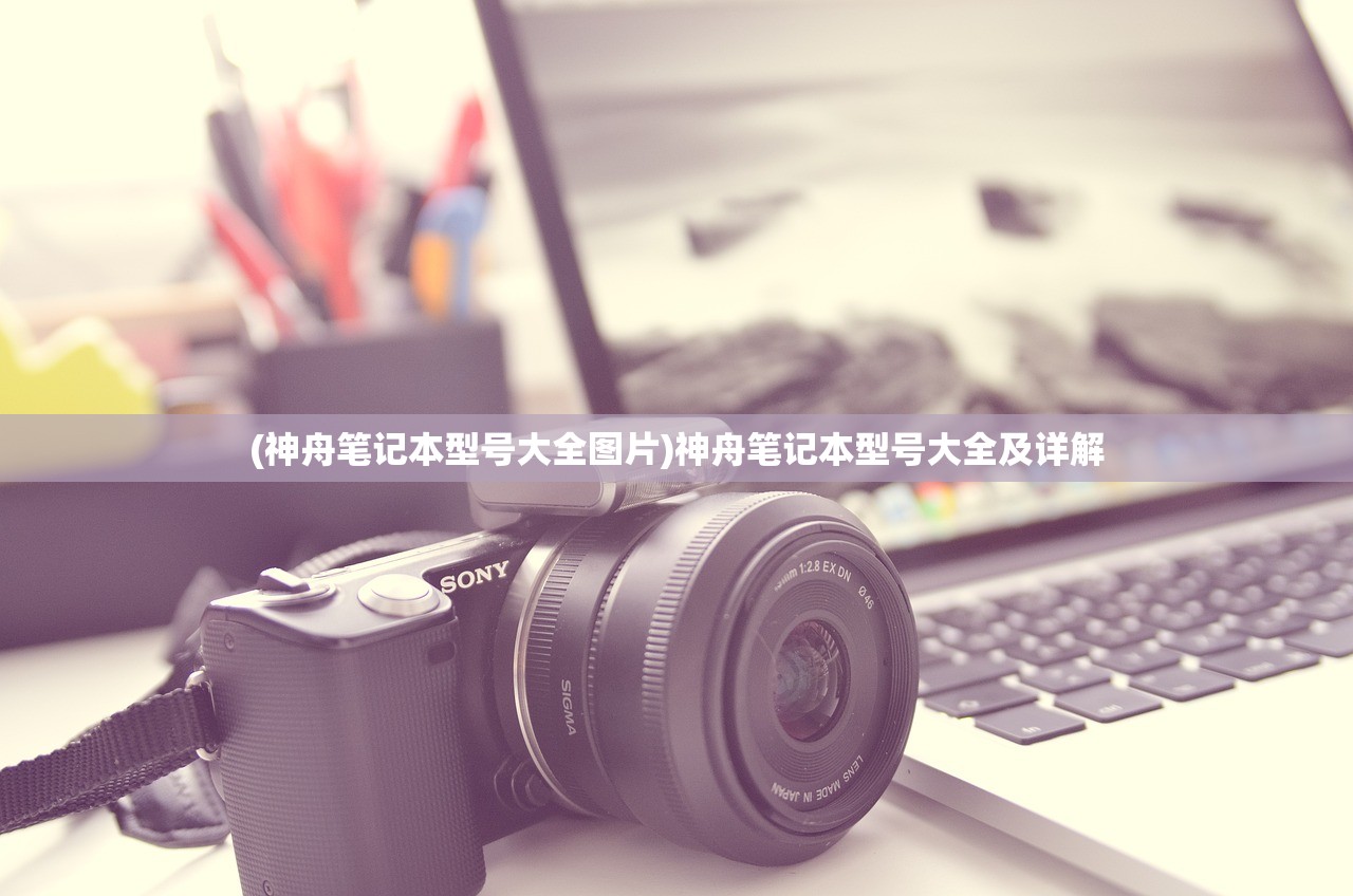 (网易版青春校园模拟器怎么降低人物交互动作的速度)网易版青春校园模拟器，探索虚拟校园的新纪元