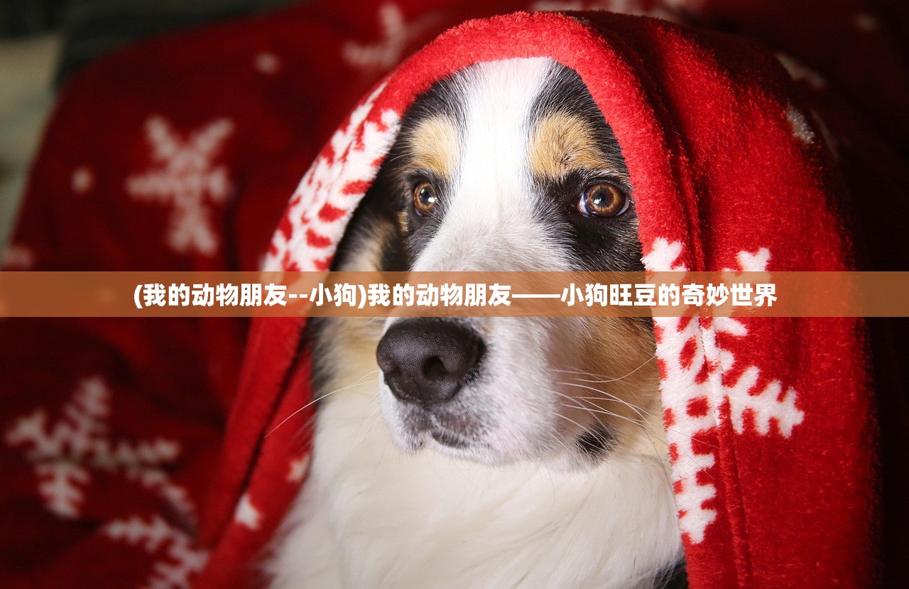 (我的动物朋友--小狗)我的动物朋友——小狗旺豆的奇妙世界
