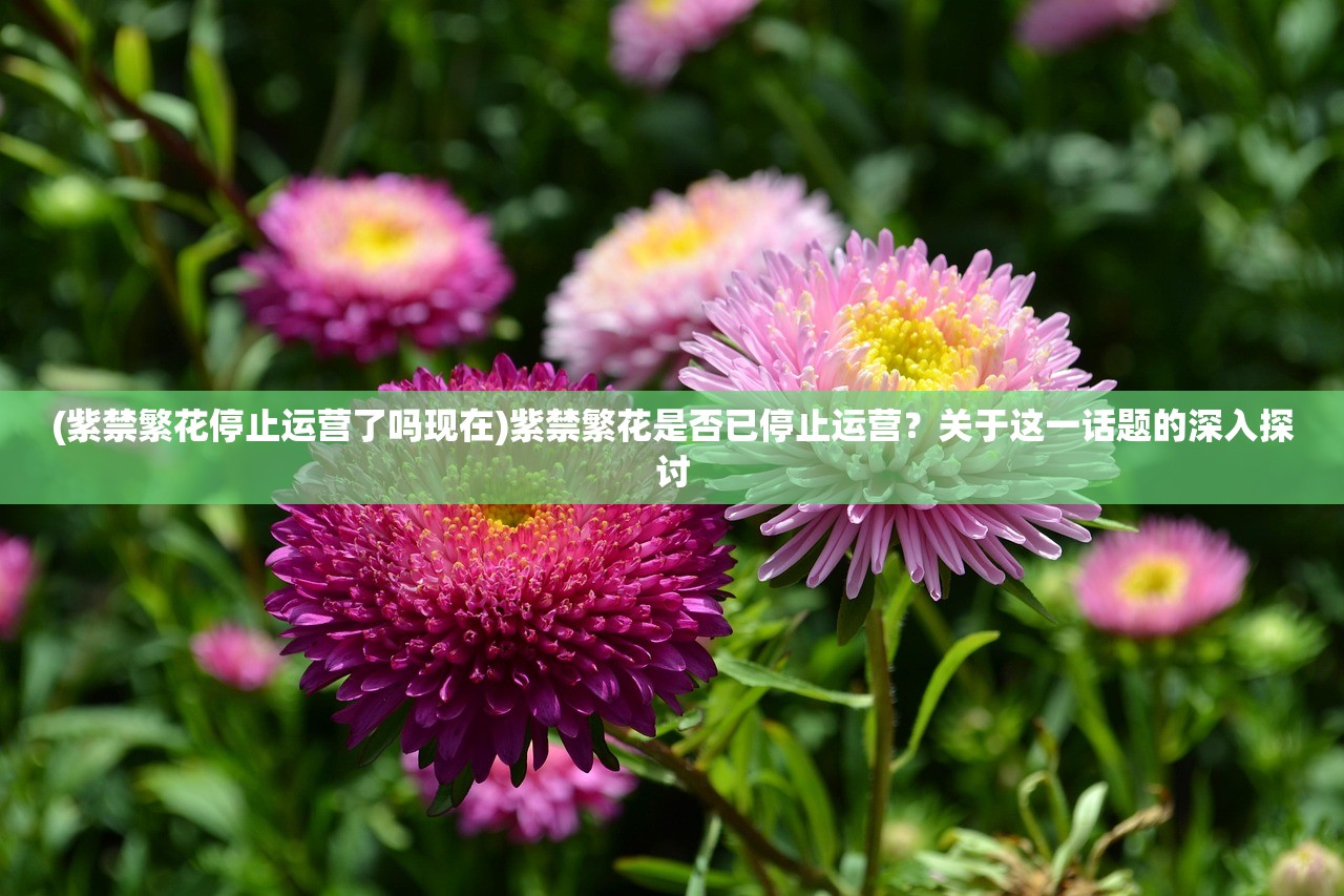 (紫禁繁花停止运营了吗现在)紫禁繁花是否已停止运营？关于这一话题的深入探讨