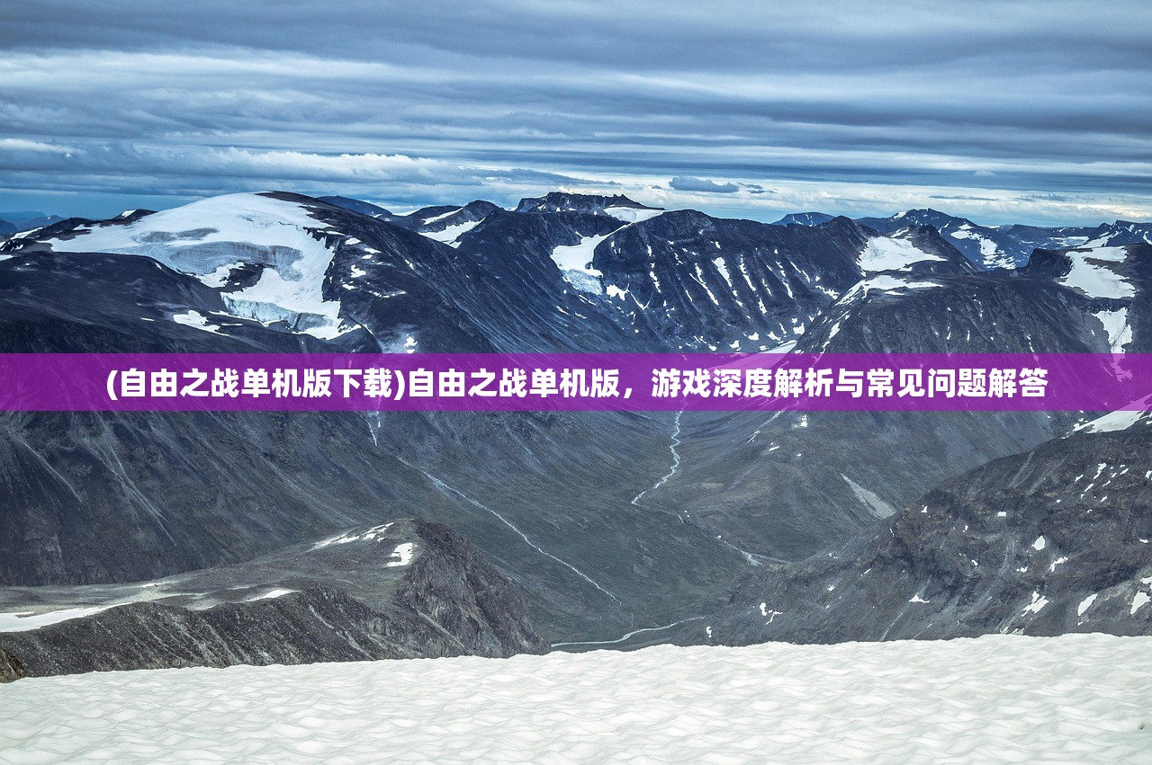 (自由之战单机版下载)自由之战单机版，游戏深度解析与常见问题解答