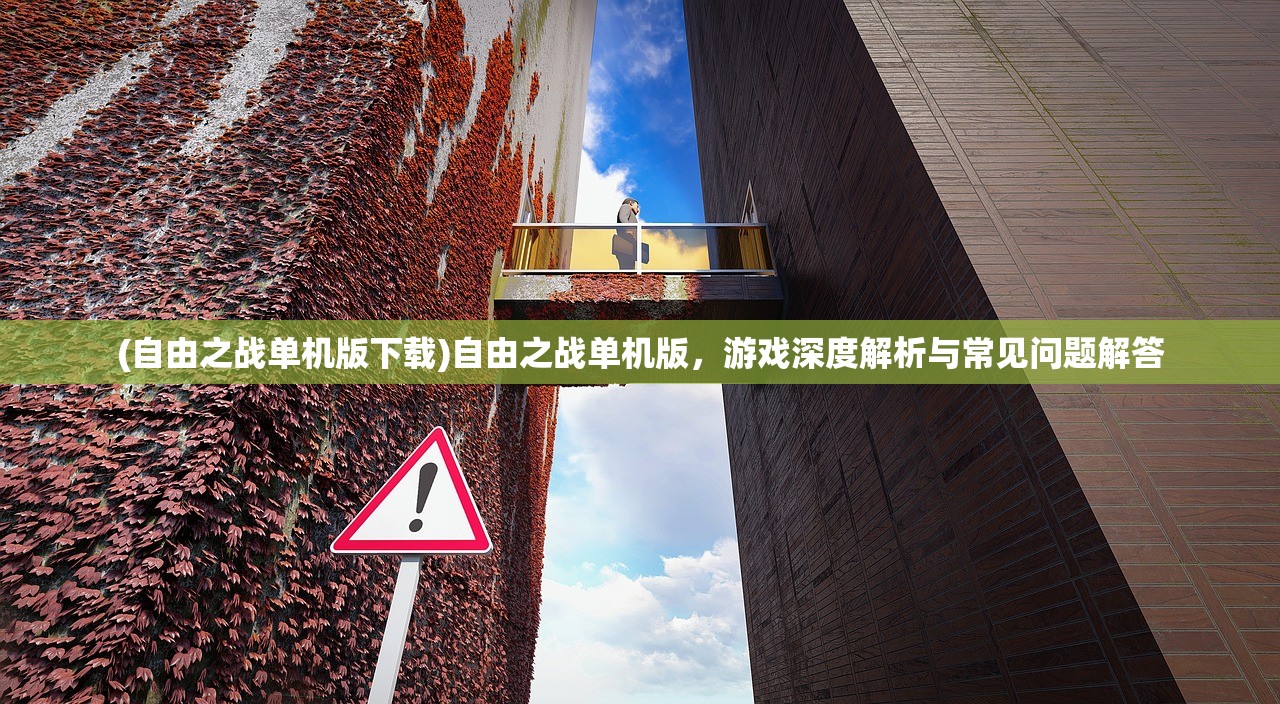 (自由之战单机版下载)自由之战单机版，游戏深度解析与常见问题解答