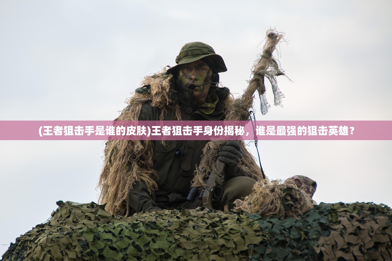 (王者狙击手是谁的皮肤)王者狙击手身份揭秘，谁是最强的狙击英雄？