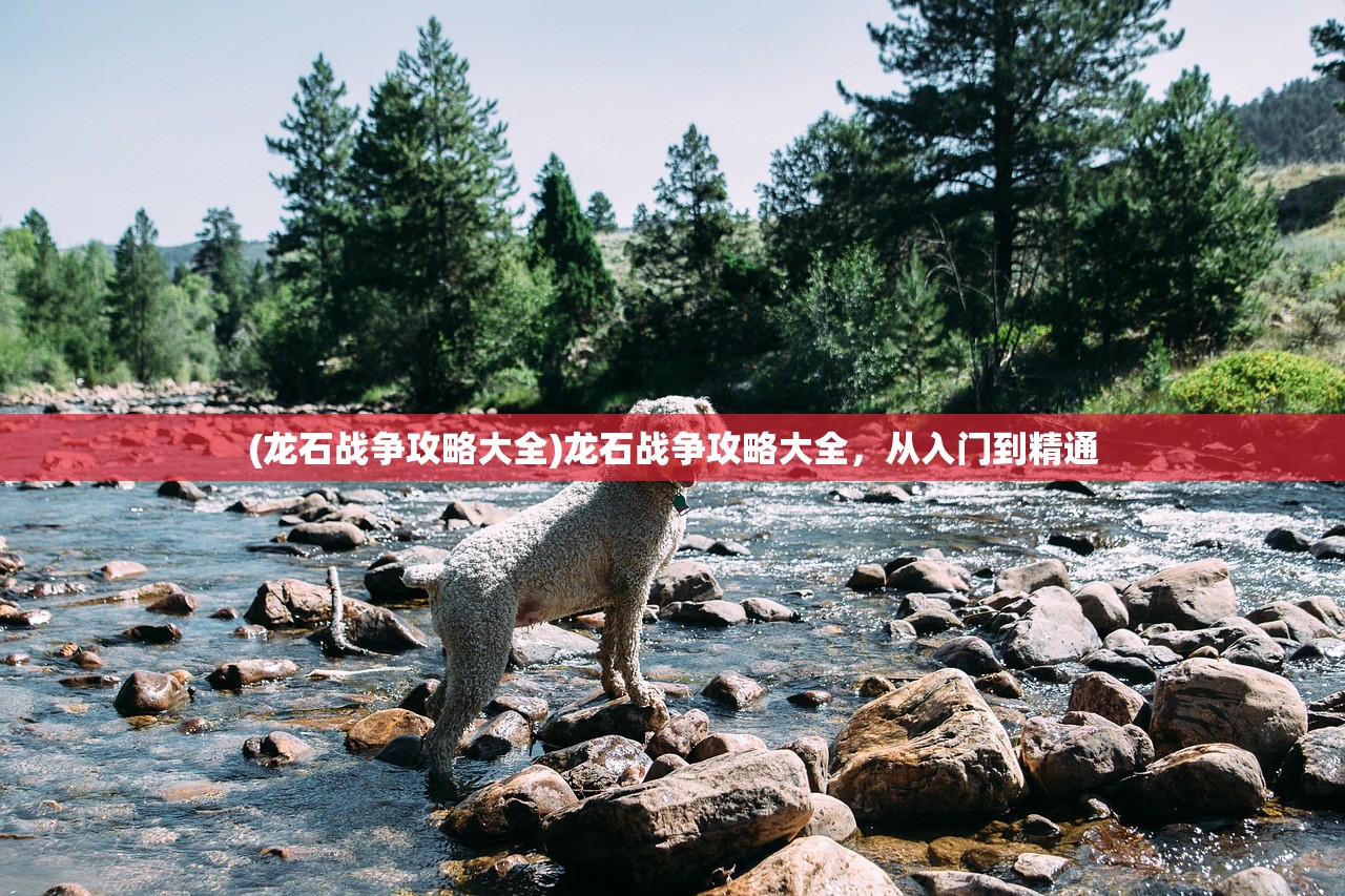(龙石战争攻略大全)龙石战争攻略大全，从入门到精通