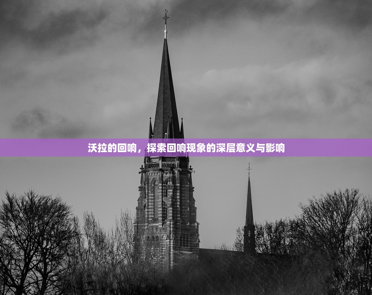 沃拉的回响，探索回响现象的深层意义与影响