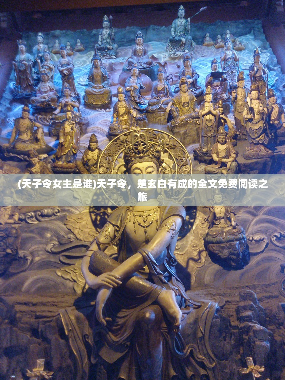 (天子令女主是谁)天子令，楚玄白有成的全文免费阅读之旅
