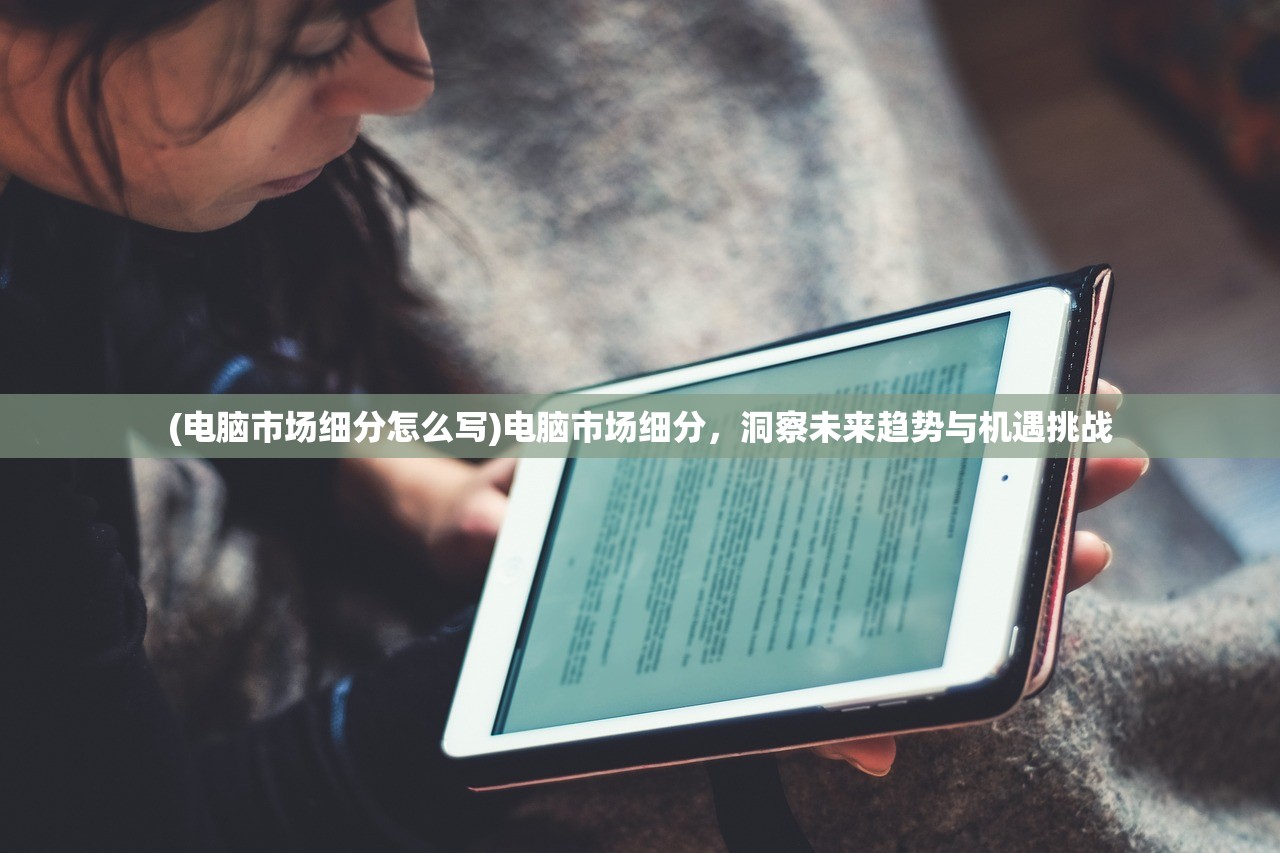 (电脑市场细分怎么写)电脑市场细分，洞察未来趋势与机遇挑战