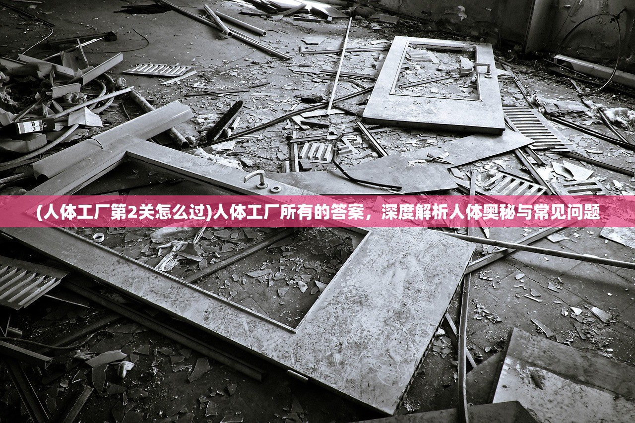 (人体工厂第2关怎么过)人体工厂所有的答案，深度解析人体奥秘与常见问题