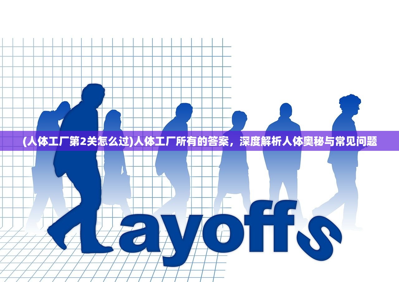 (人体工厂第2关怎么过)人体工厂所有的答案，深度解析人体奥秘与常见问题