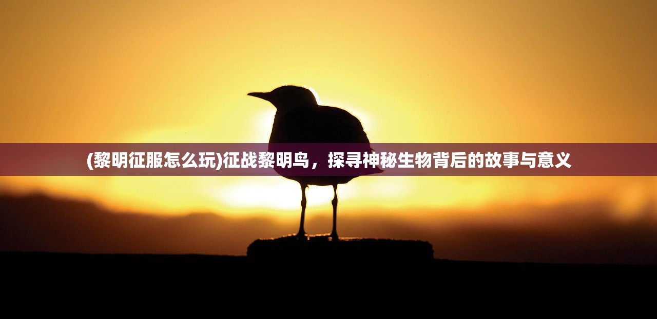 (128关彩星)揭秘第七关彩星，探寻隐藏的奥秘与挑战