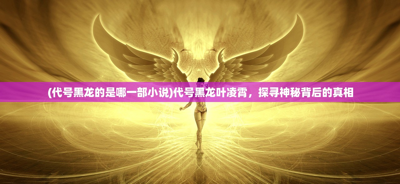 (代号黑龙的是哪一部小说)代号黑龙叶凌霄，探寻神秘背后的真相