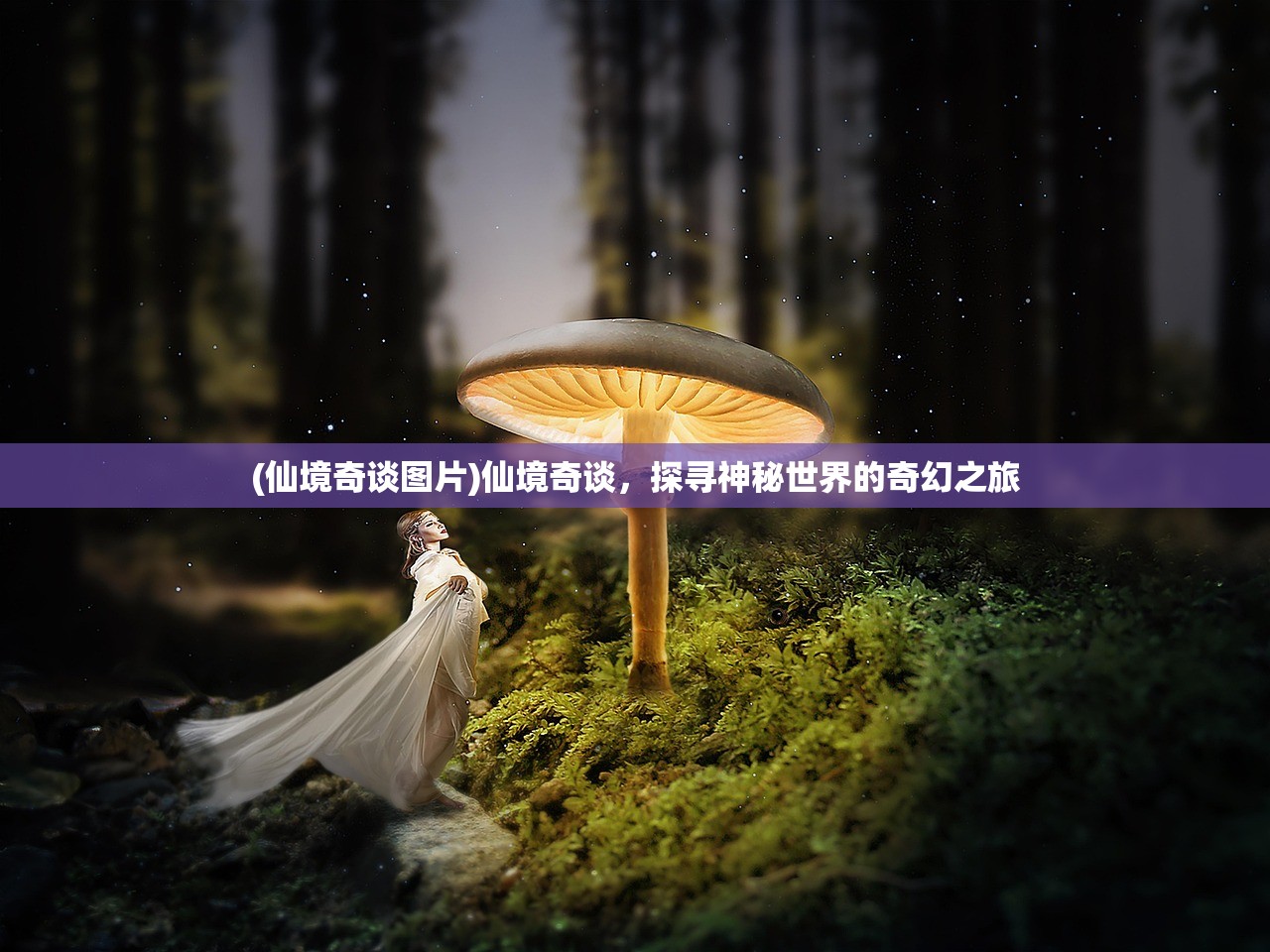 (仙境奇谈图片)仙境奇谈，探寻神秘世界的奇幻之旅