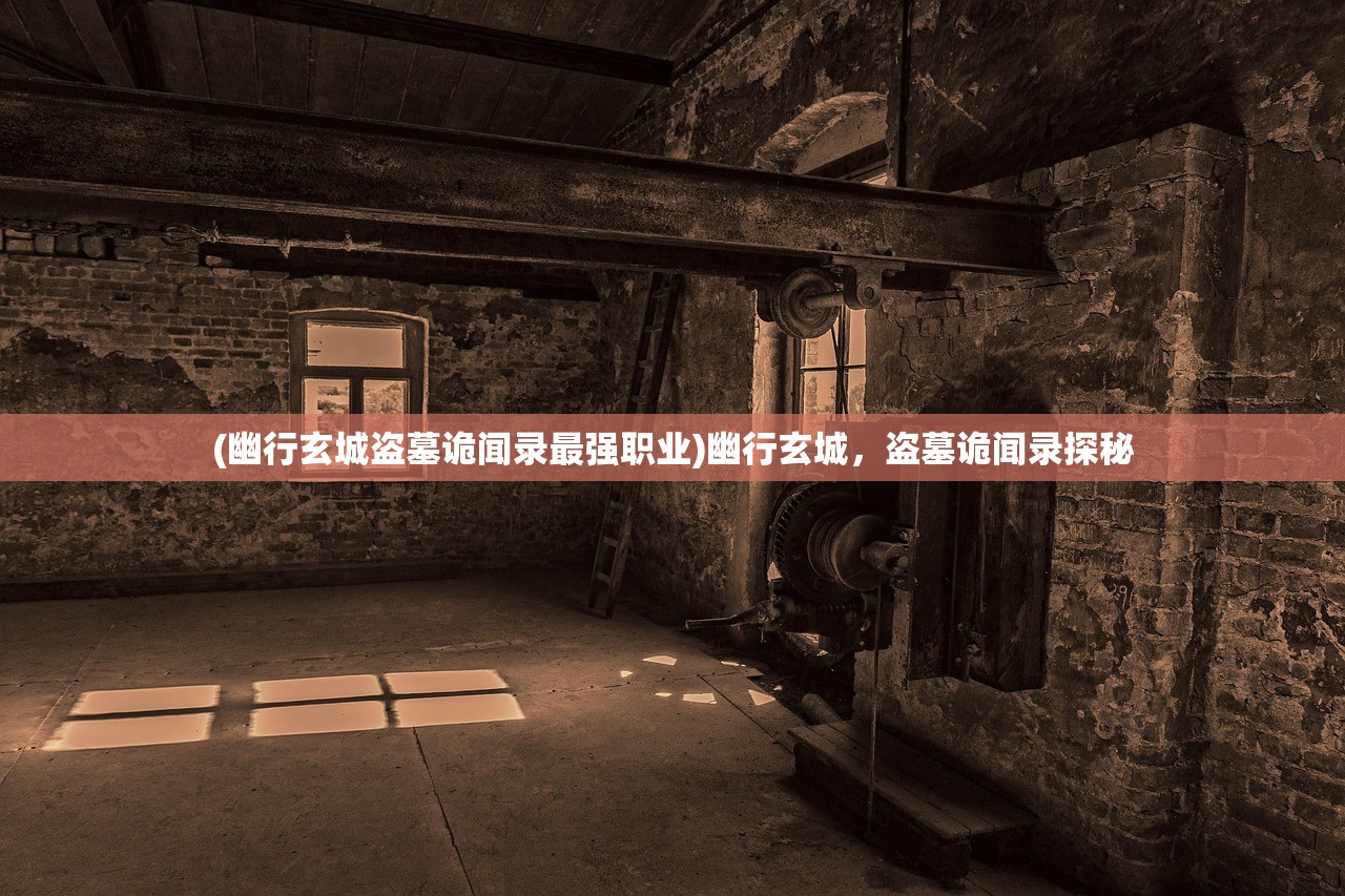 (幽行玄城盗墓诡闻录最强职业)幽行玄城，盗墓诡闻录探秘
