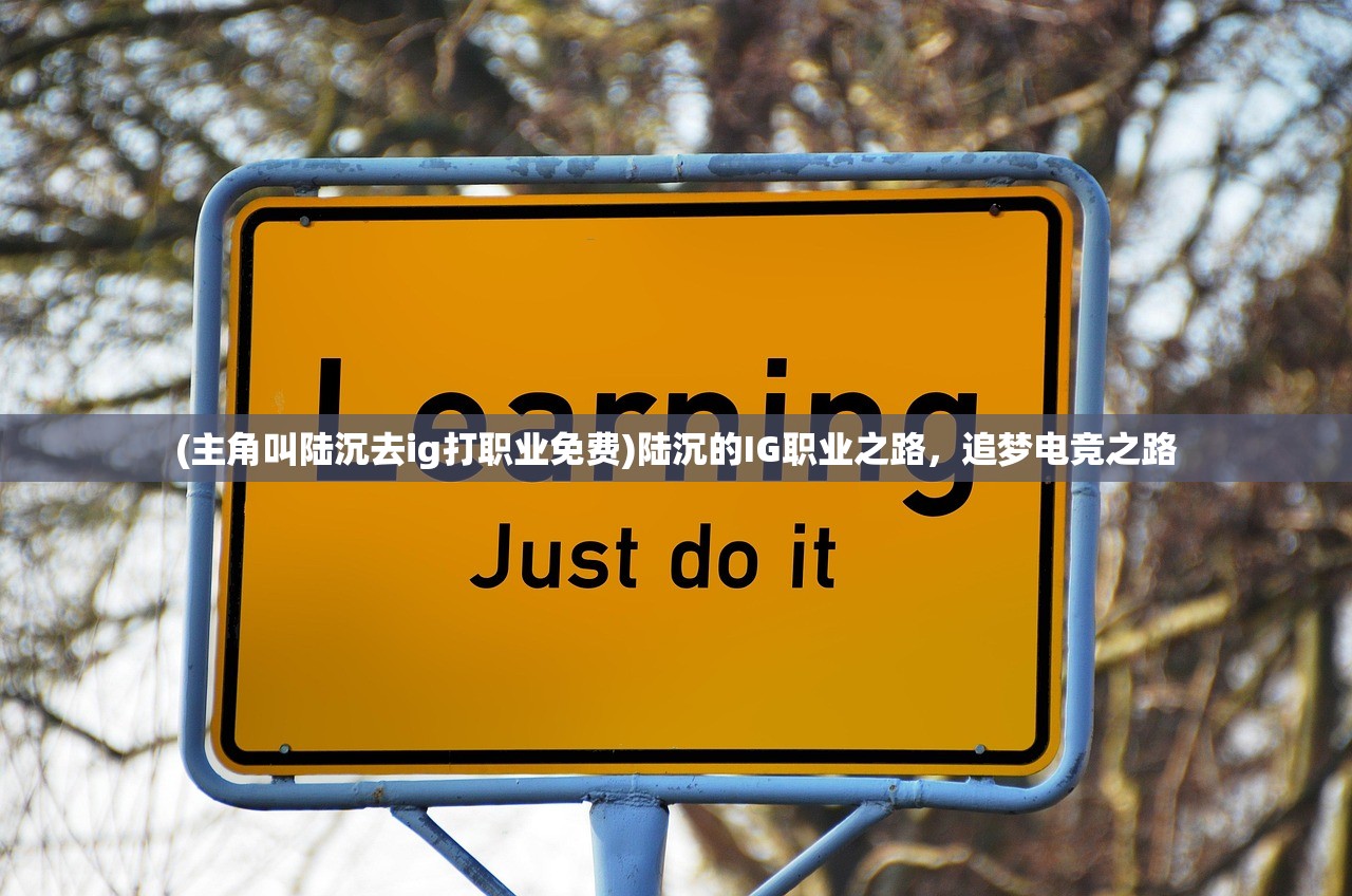 (主角叫陆沉去ig打职业免费)陆沉的IG职业之路，追梦电竞之路