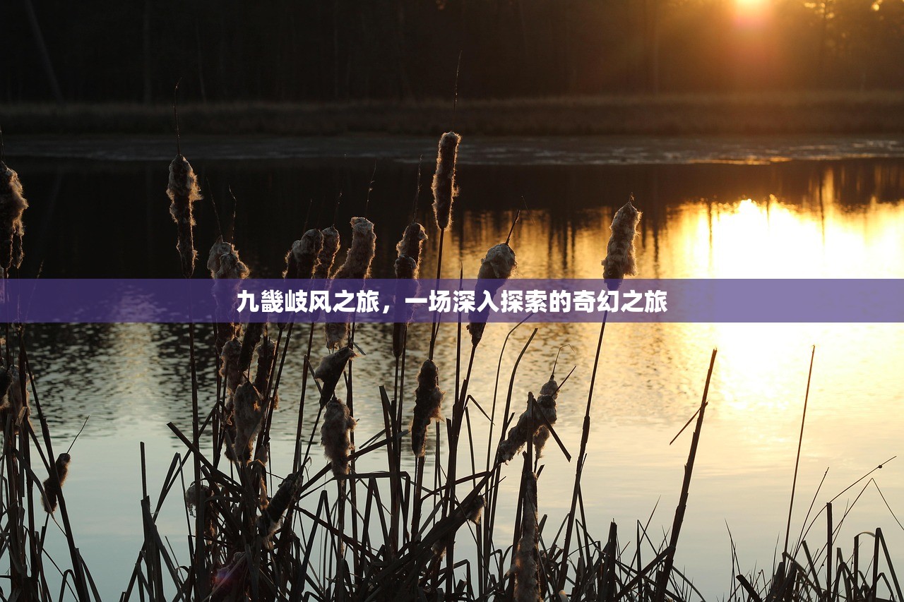 九畿岐风之旅，一场深入探索的奇幻之旅