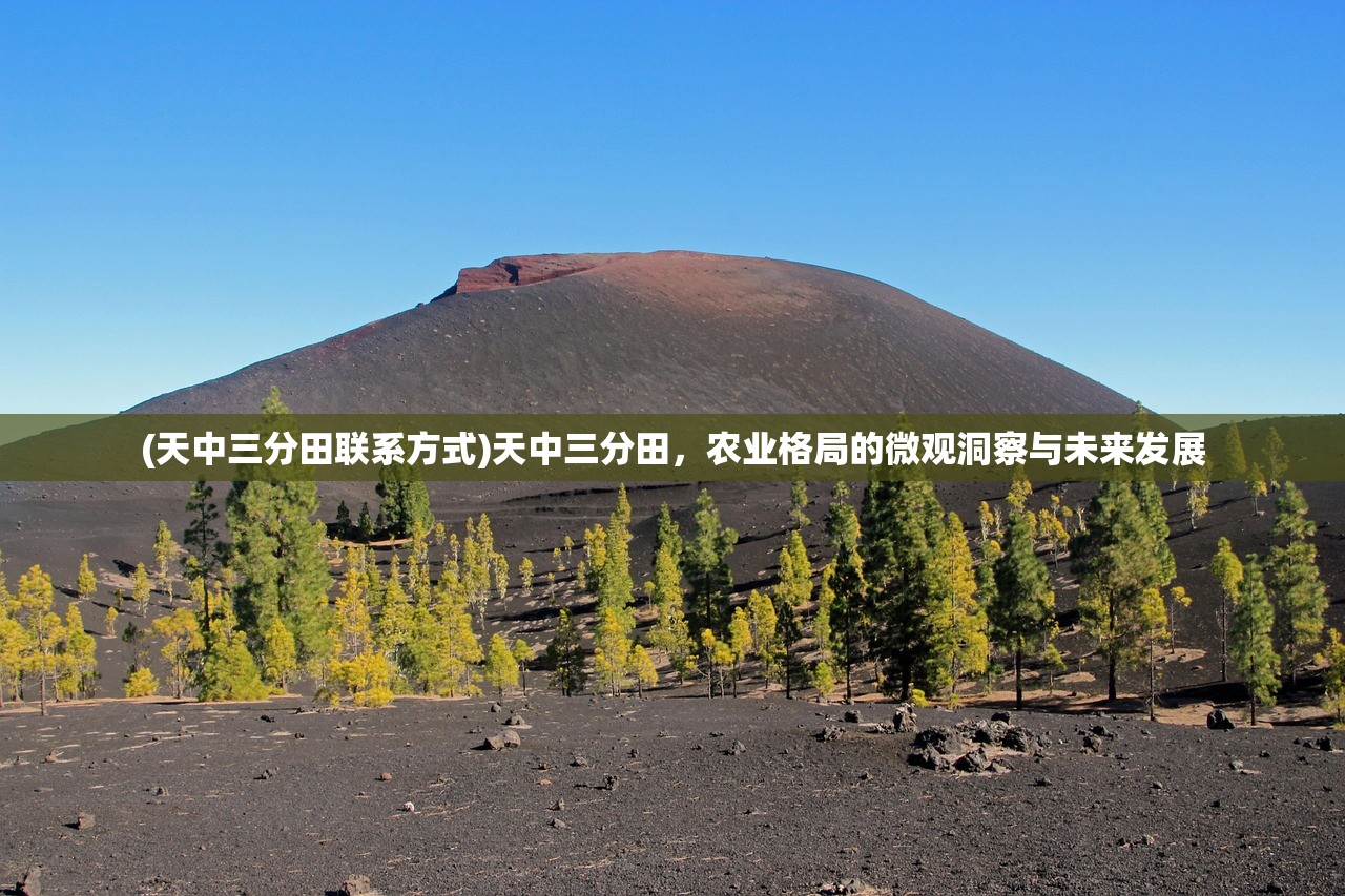(天中三分田联系方式)天中三分田，农业格局的微观洞察与未来发展