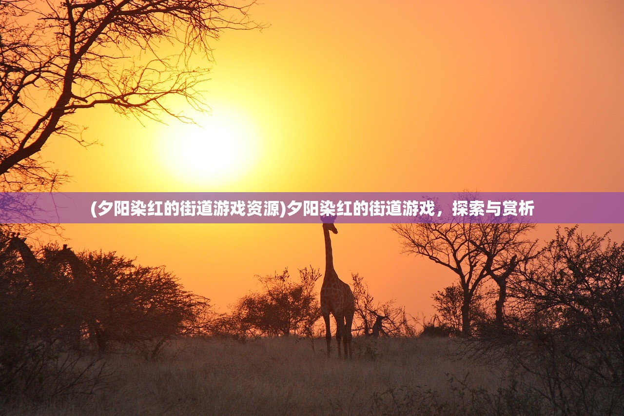 (夕阳染红的街道游戏资源)夕阳染红的街道游戏，探索与赏析