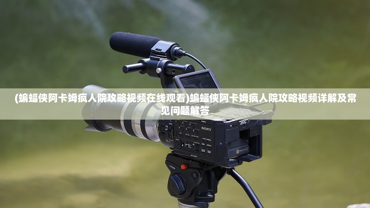 (蝙蝠侠阿卡姆疯人院攻略视频在线观看)蝙蝠侠阿卡姆疯人院攻略视频详解及常见问题解答