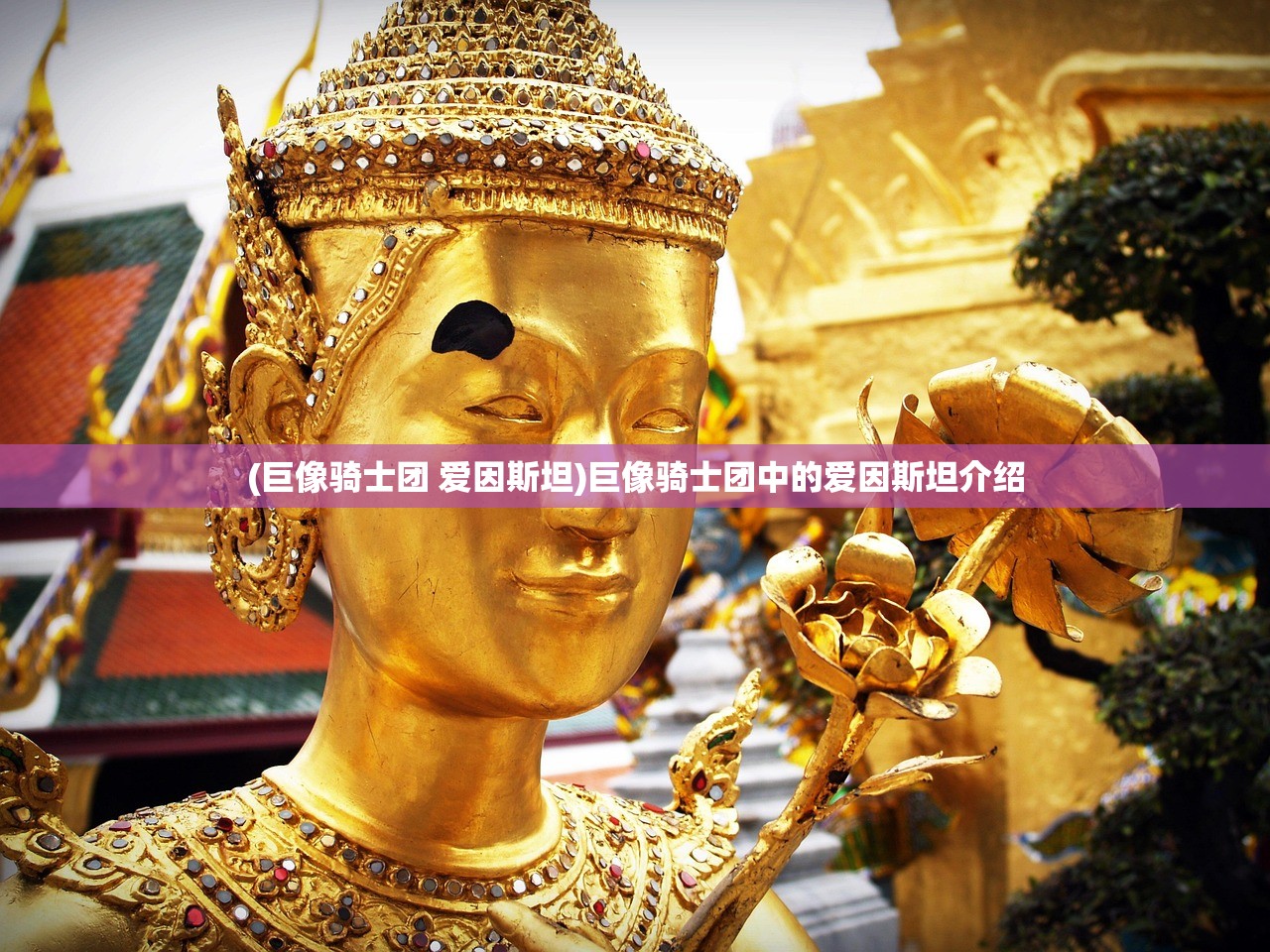 (巨像骑士团 爱因斯坦)巨像骑士团中的爱因斯坦介绍