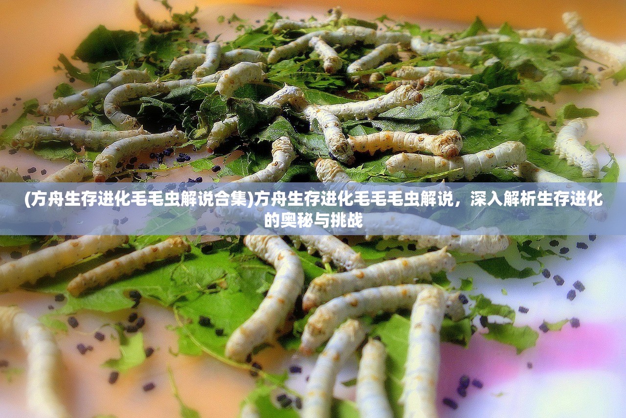 (方舟生存进化毛毛虫解说合集)方舟生存进化毛毛毛虫解说，深入解析生存进化的奥秘与挑战