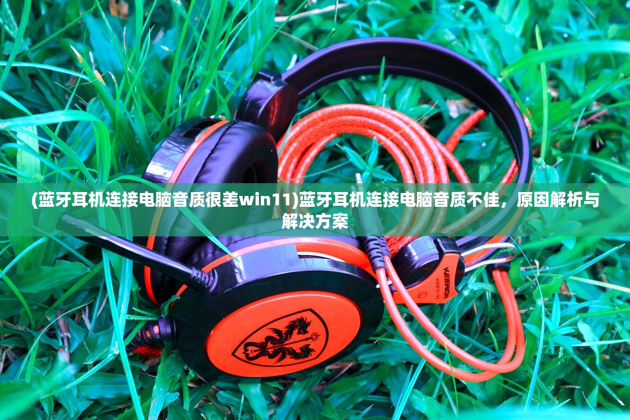 (黄白之物是什么意思)黄白之物的神秘面纱，探寻其多样性与文化内涵