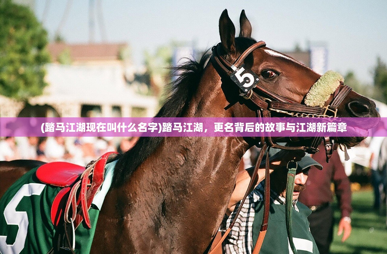 (踏马江湖现在叫什么名字)踏马江湖，更名背后的故事与江湖新篇章