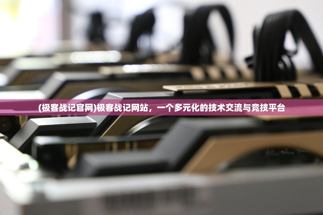 (极客战记官网)极客战记网站，一个多元化的技术交流与竞技平台