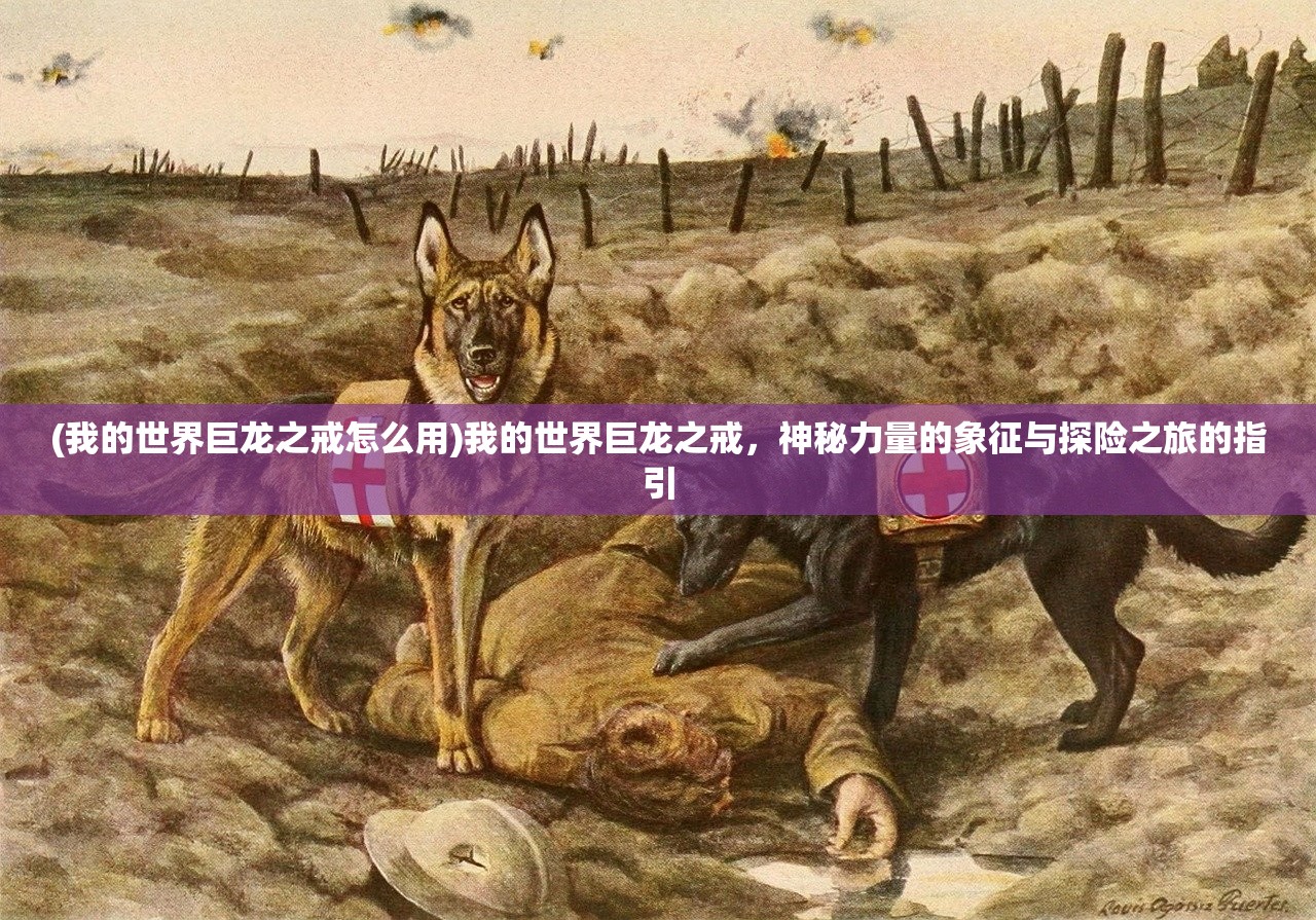 (我的世界巨龙之戒怎么用)我的世界巨龙之戒，神秘力量的象征与探险之旅的指引