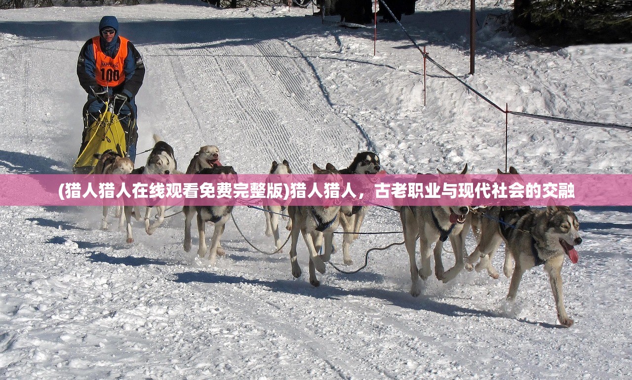 (猎人猎人在线观看免费完整版)猎人猎人，古老职业与现代社会的交融