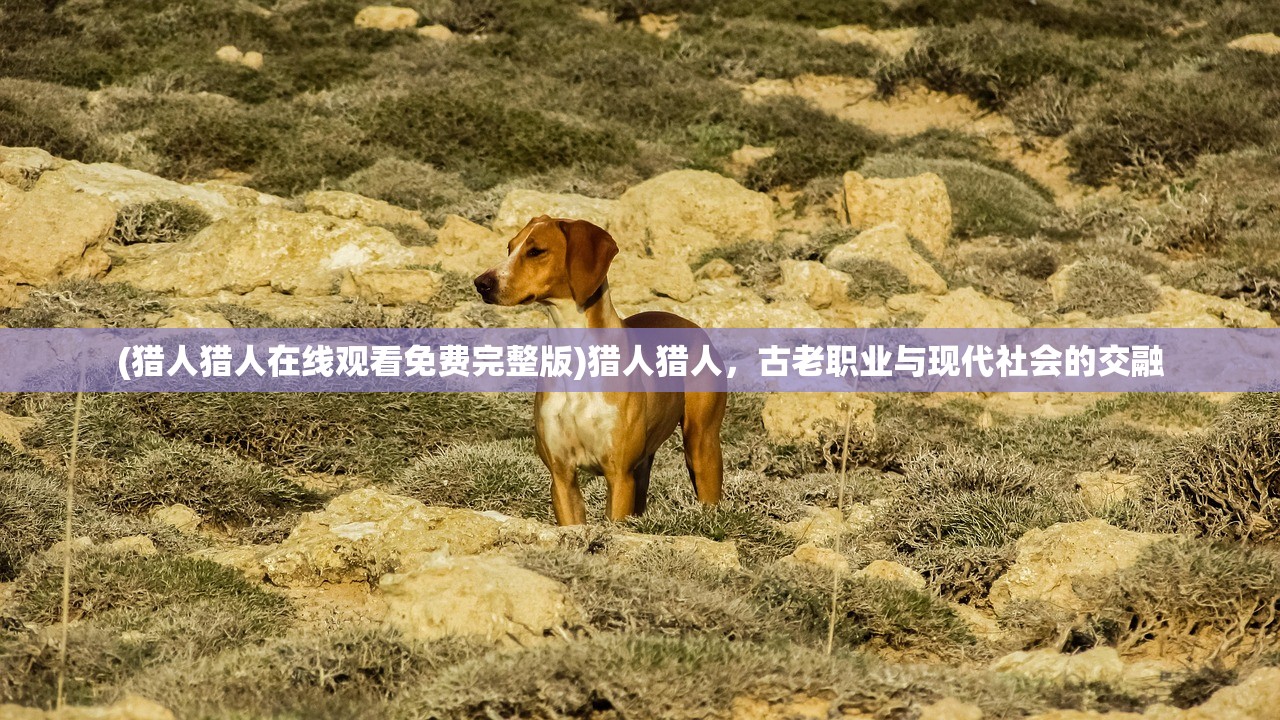 (猎人猎人在线观看免费完整版)猎人猎人，古老职业与现代社会的交融