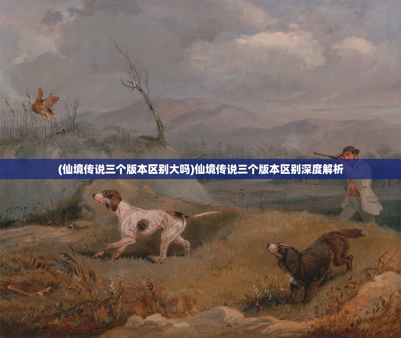 (仙境传说三个版本区别大吗)仙境传说三个版本区别深度解析