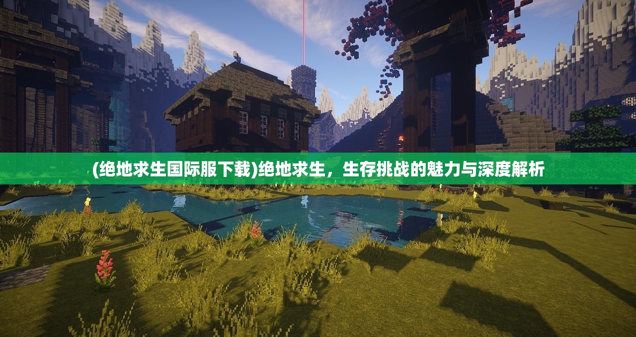 (绝地求生国际服下载)绝地求生，生存挑战的魅力与深度解析